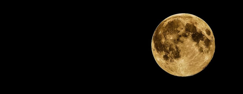 Astronomical Surveys